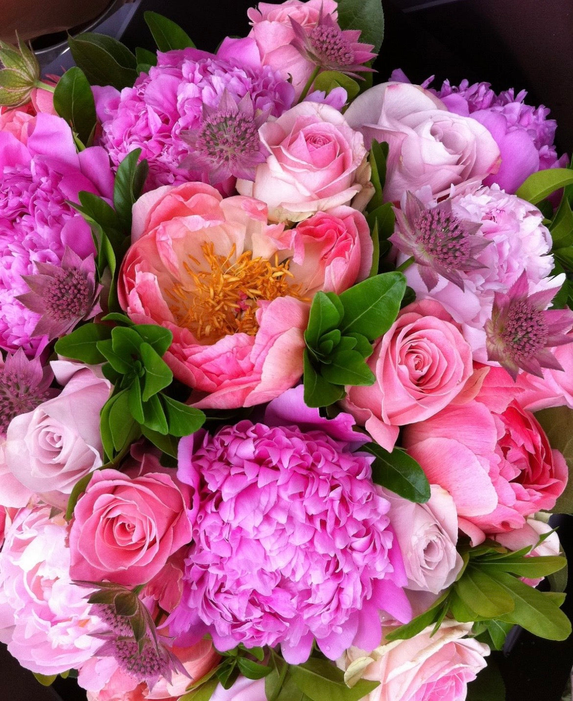Floral Scents